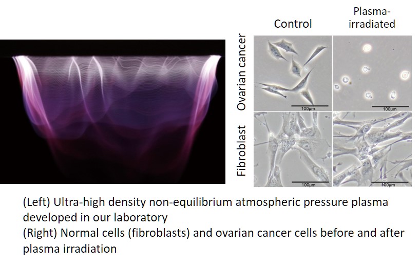 (Left) Ultra-high density non-equilibrium atmospheric pressure plasma developed in our laboratory; (Right) Normal cells (fibroblasts) and ovarian cancer ce
lls before and after plasma irradiation