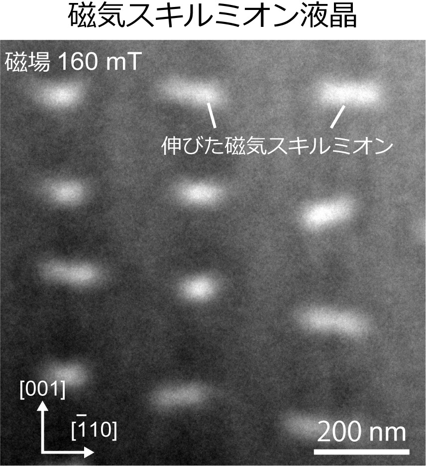 a liquid-crystalline structure of skyrmions