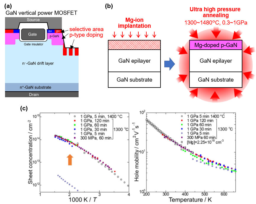 (a) Usage of p-type selective doping in vertical power devices. (b) Fabrication process of p-type GaN using ion-implantation and ultra-high-pressure anneal, (c) Temperature dependence of hole concentration and mobility for the GaN measured by Hall-effect measurement. Implanted GaN layers annealed at 1300°C and 300 MPa for 60 min showed p-type conductivity which was equivalent to epitaxially grown p-type GaN layers.