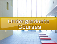 Undergraduate Courses