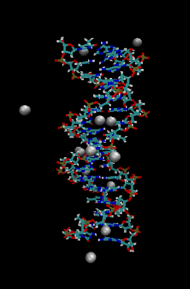 molecular dynamics simulation