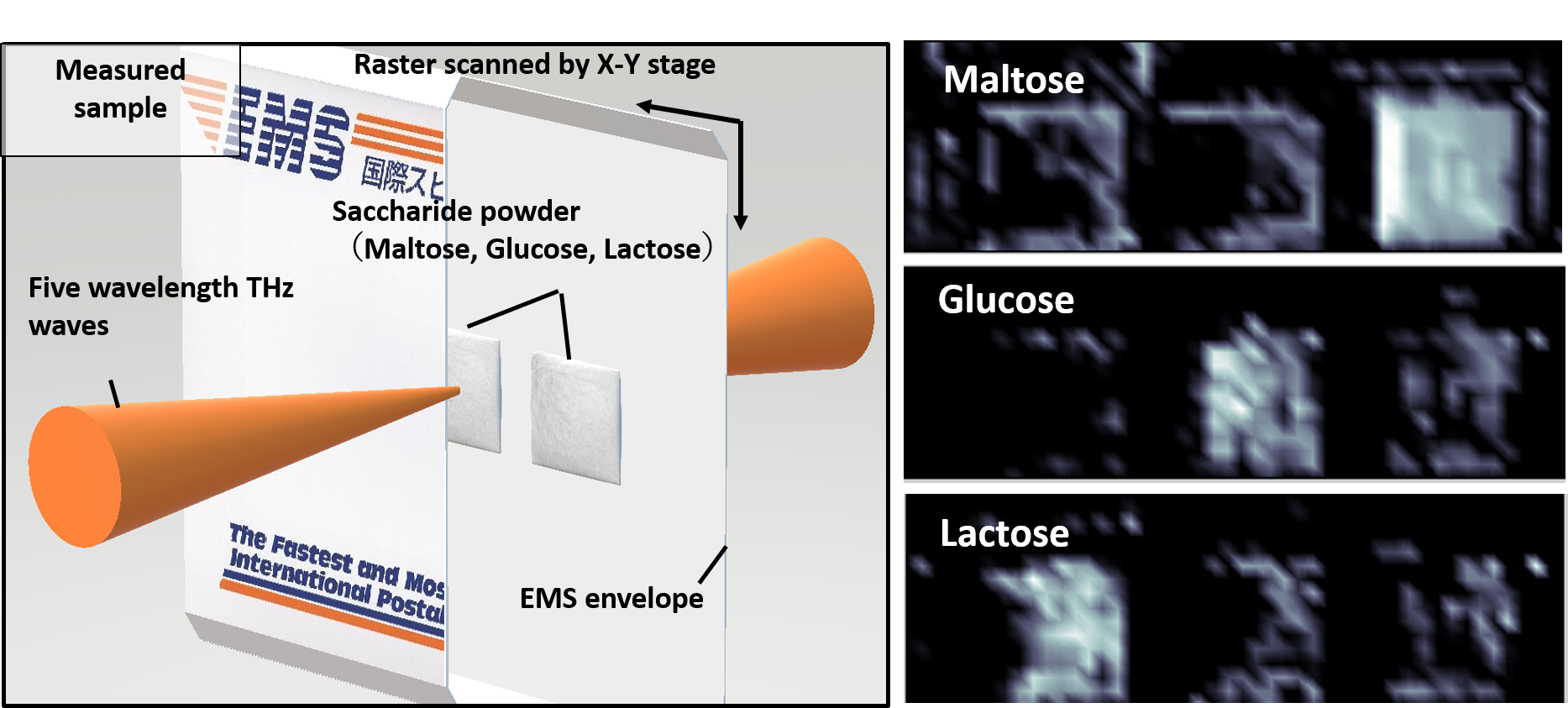 We have succeeded in the real-time terahertz spectroscopy and fast spectroscopic imaging system using multi-wavelength terahertz parametric generation and detection technique.