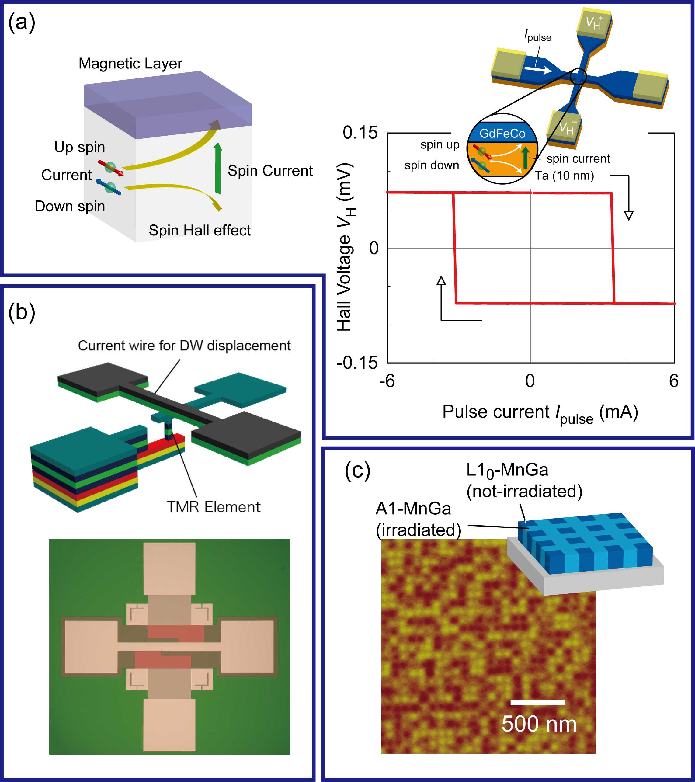 (a) Schematic and experimental result on the magnetization switching of GdFeCo by spin Hall effect, (b) Schematic and optical microscope image of domain wall displacement type magneto-resistance sensor device, (c) Schematic and magnetic force microscope image of bit patterned medium fabricated by ion irradiation.