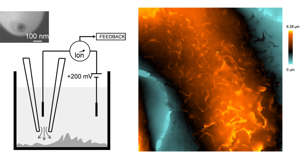 図 1. ガラスナノピペットを用いたイメージング技術の概要と癌細胞表面のナノスケールの形状イメージ（左）、ウィルスなどの取り込みに関与する陥没構造を可視化することに成功した。