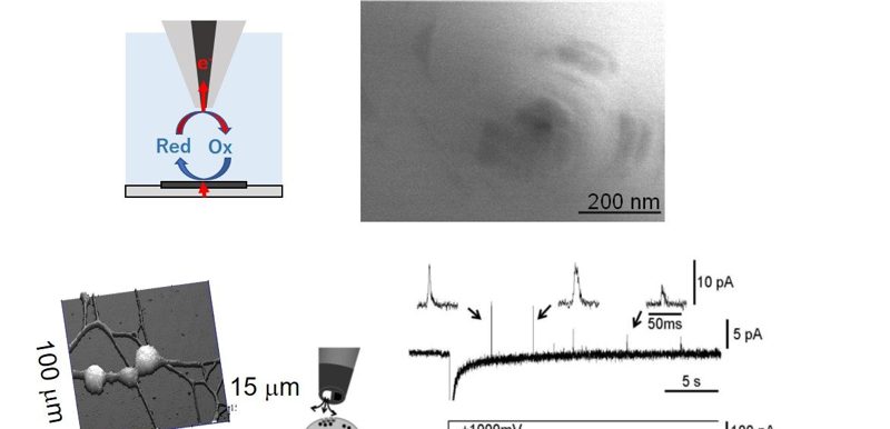 Microscope Measurement Methods Nano-Bio Measurement Laboratory