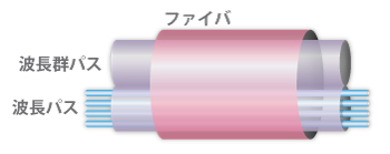 Wavelength Group Path