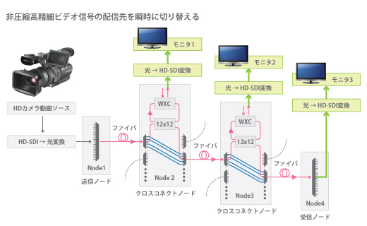 Field Transmission Experiment