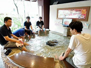 DSCN1002.JPG