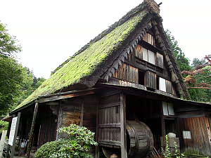 DSCN1071.JPG