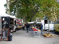 IMG_2436.jpg