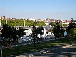 IMG_2438.jpg