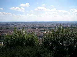 IMG_2454.jpg