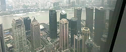 IMG_1654.jpg